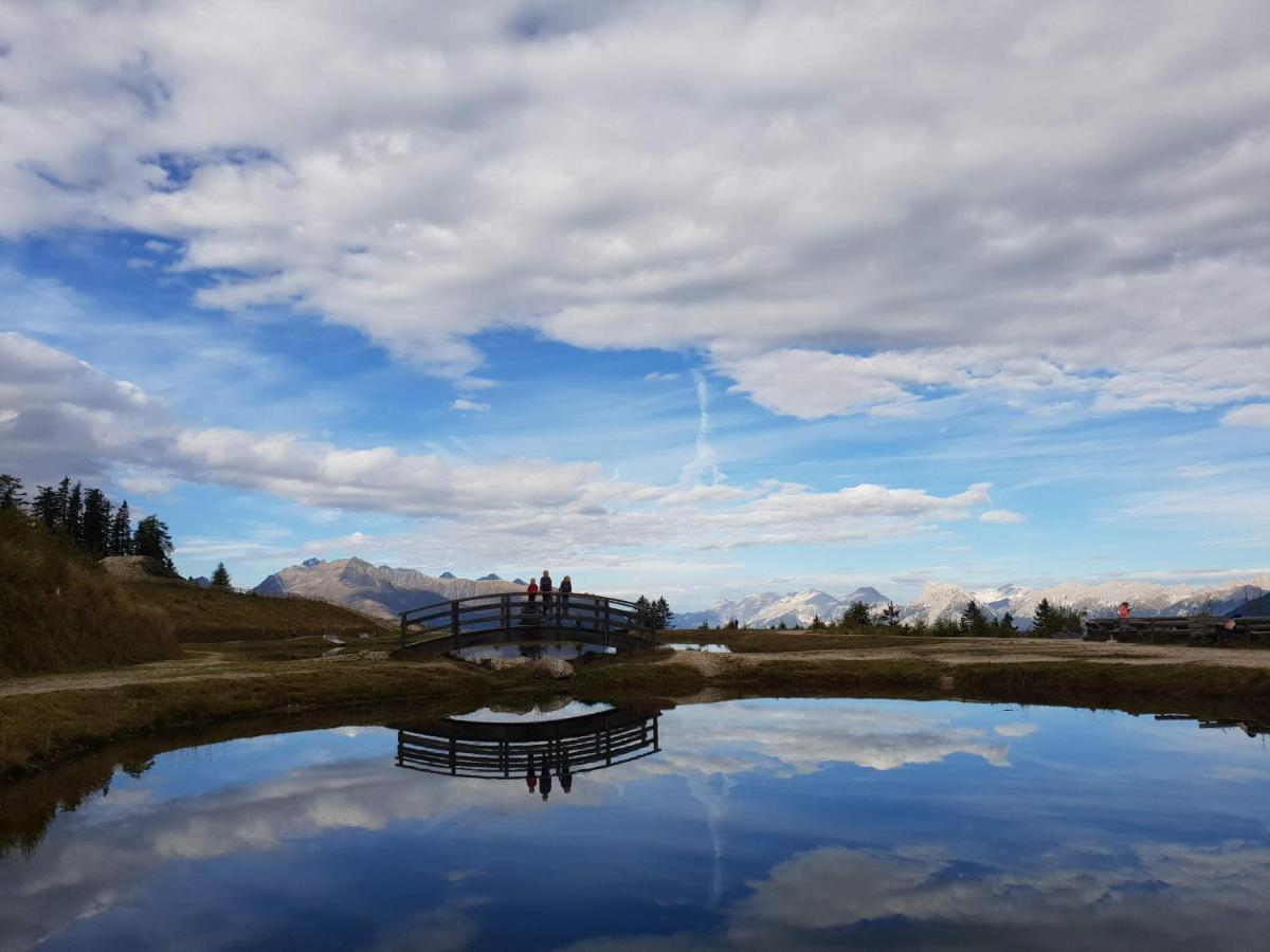 Hotel Alp Art 3*